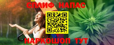 крисы Белореченск
