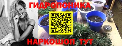 mix Бердск
